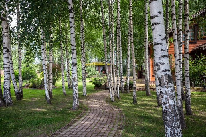 Дом 262 м² на участке 20,7 сот.