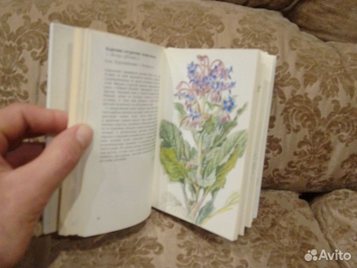 Лекарственные растения