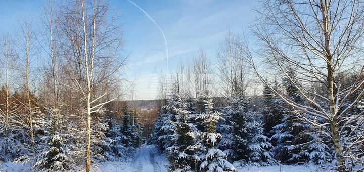 Участок 24 га (ИЖС)