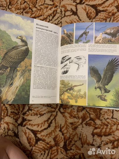 Детская энциклопедия