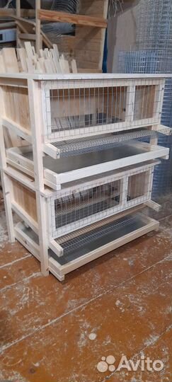 Клетки для перепелов