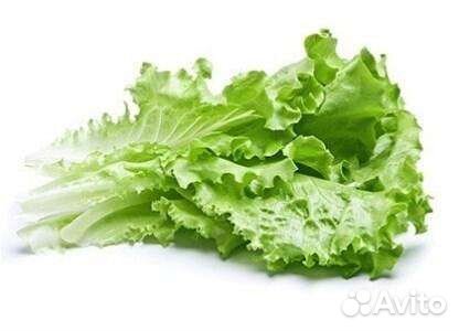 Листья салата, зелень