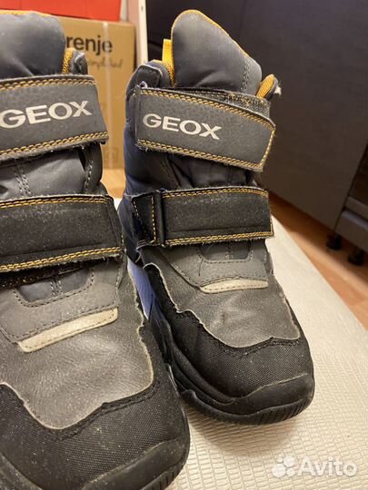 Зимние ботинки geox 35