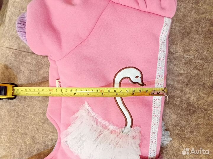 Одежда для собак мелких пород зима