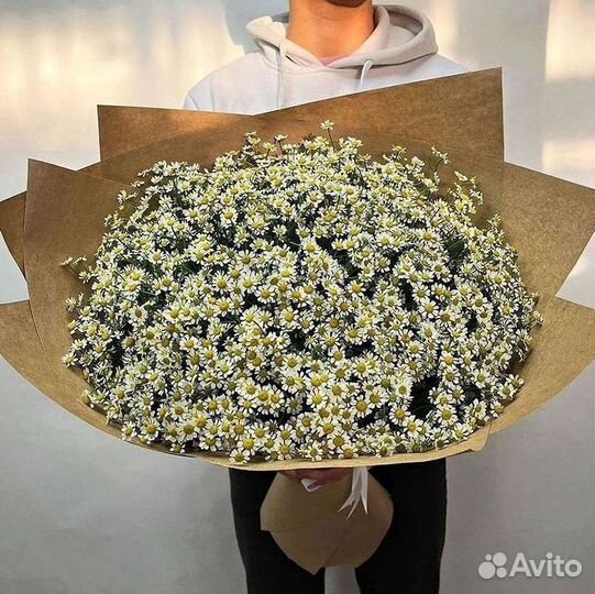 Цветы ромашки. Букеты ромашек. Цветы доставка