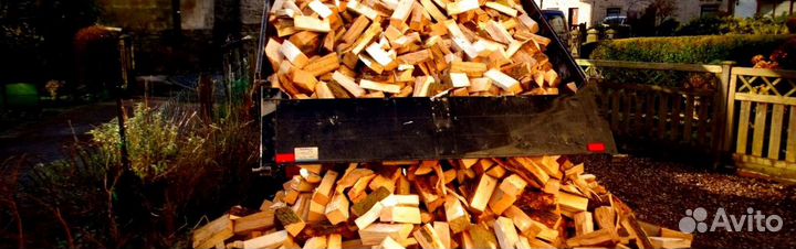 Дрова отборные