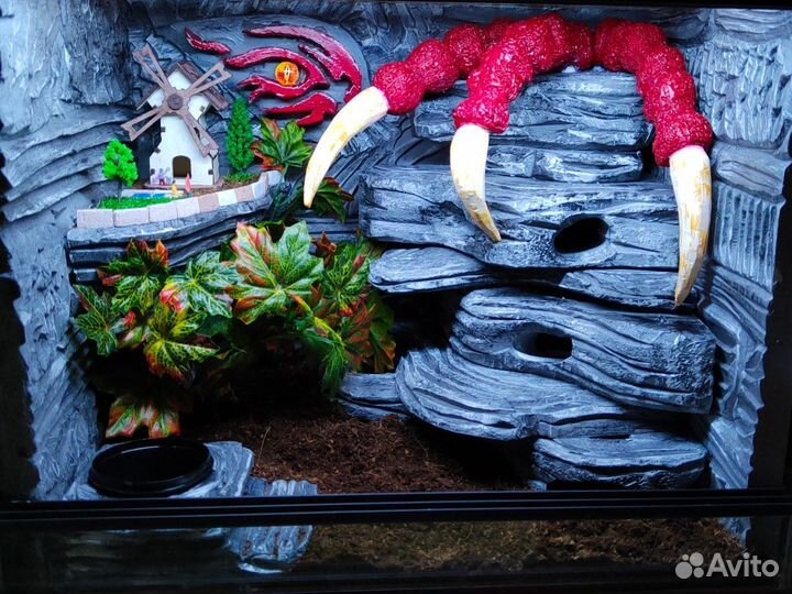 Фон,укрытия для террариума