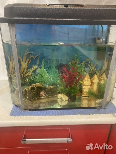 Аквариум