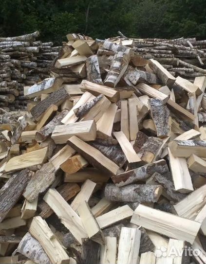 Дрова осина