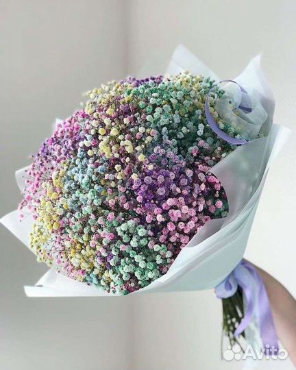 Радужная гипсофила