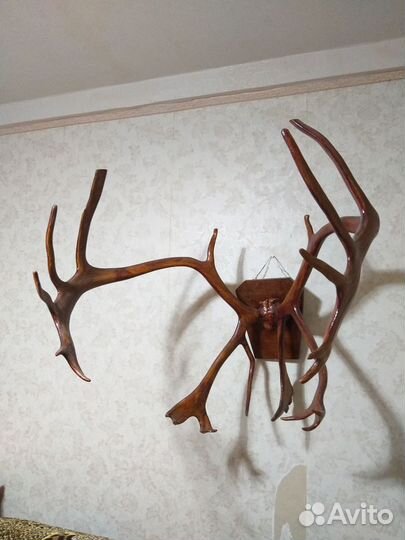 Продам рога