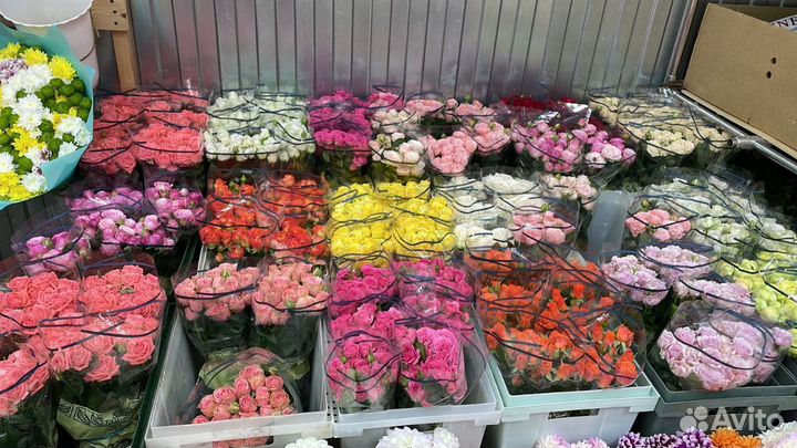 101 роза 51 31 25 Роза Цветы доставка кустовые