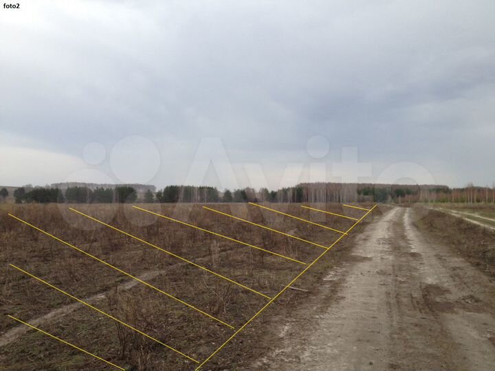 Участок 30,65 га (СНТ, ДНП)