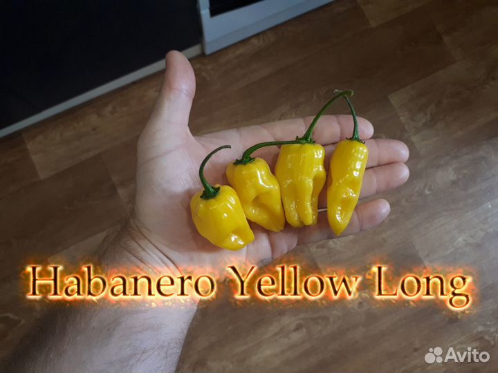 Хабанеро и другие острые перцы(Семена)