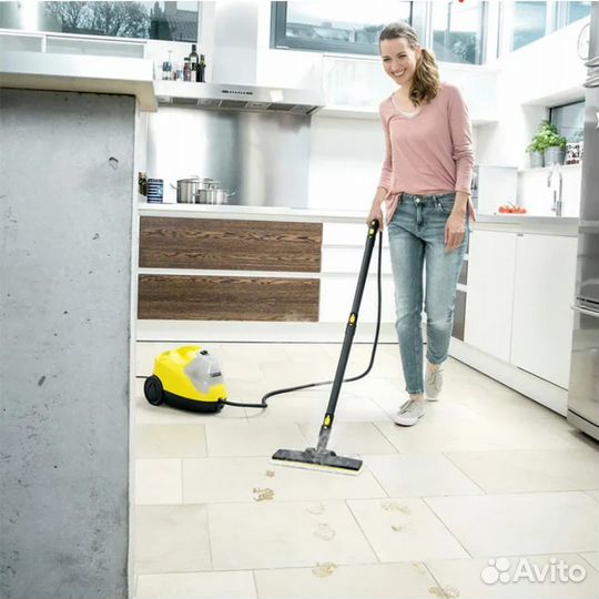 Аренда пароочистителя karcher