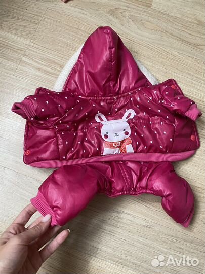 Одежда для собак мелких пород