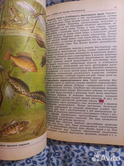 Полянский Общая биология 10 – 11 класс 1992г