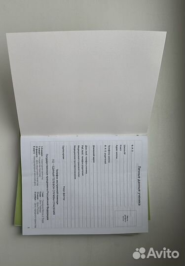 Дневник школьный