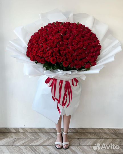 WOW Букеты из Красных Роз