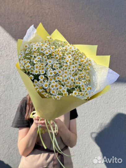 Ромашки Цветы с доставкой