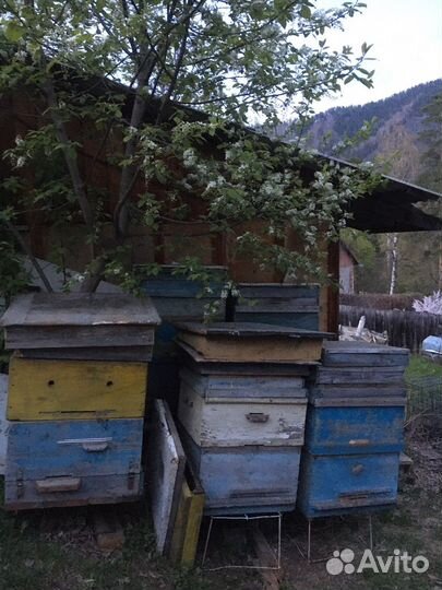 Улей для пчел бу