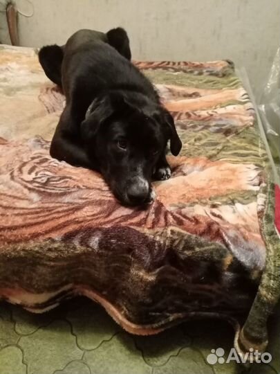 В надёжные руки