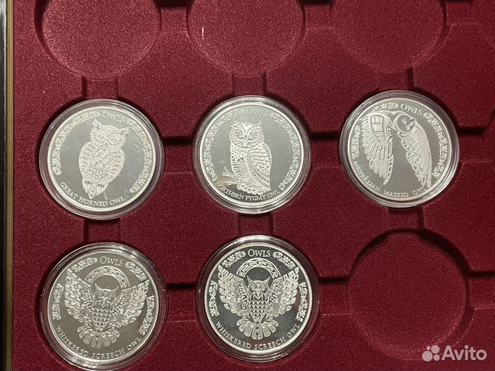 Монета совы серебро