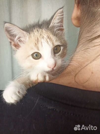 Сладкая Зайка ждёт свою маму и папу