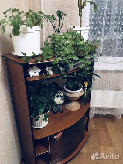 Тумба под тв,Стенка,Комод