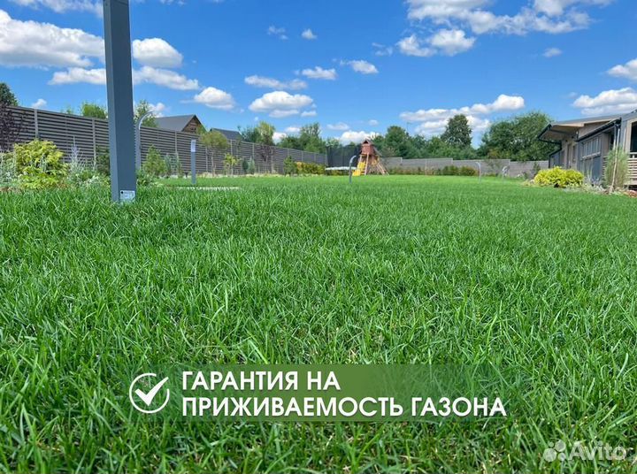 Рулонный газон с доставкой