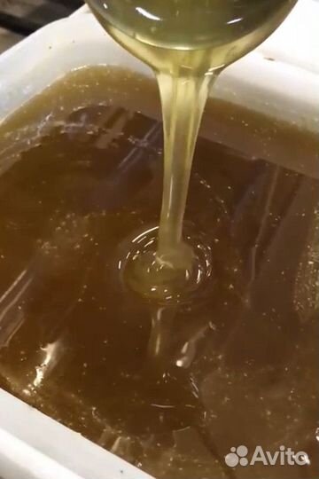 Эспарцет качка 2023 только опт