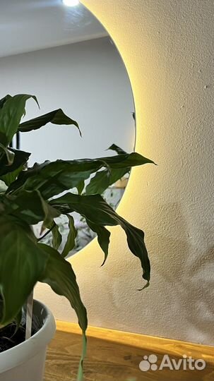 Место бровиста, визажиста, мастера по прическам