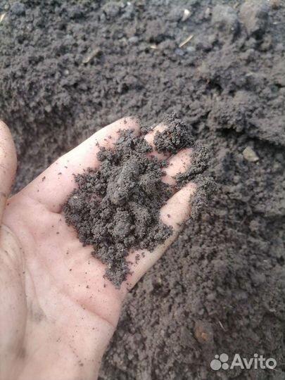 Чернозем В Стройкерамику