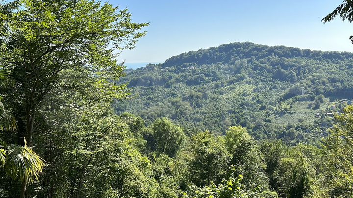 Участок 4,1 сот. (СНТ, ДНП)