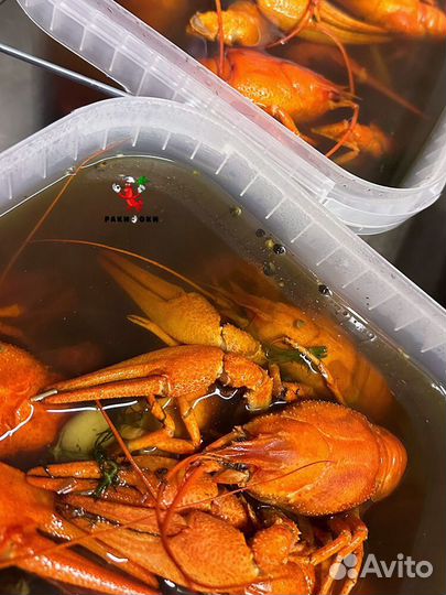Волжские раки живые, вареные. Доставка,Самовывоз