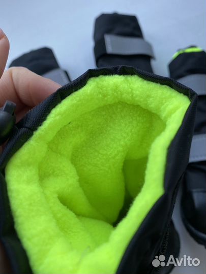 Обувь для собак