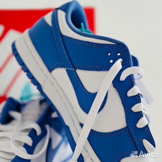 Nike Dunk Low Polar Blue