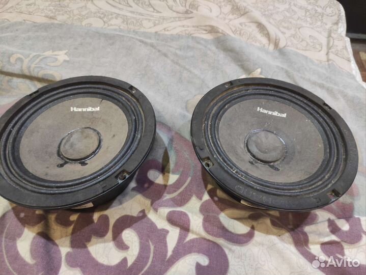 Динамики на весту или гранту