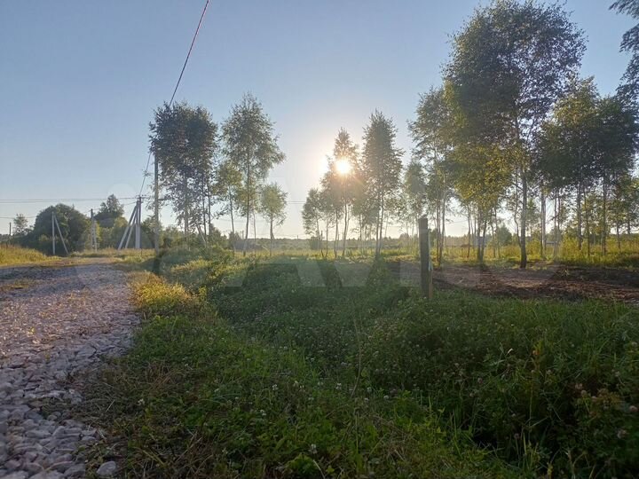 Участок 11,5 сот. (СНТ, ДНП)