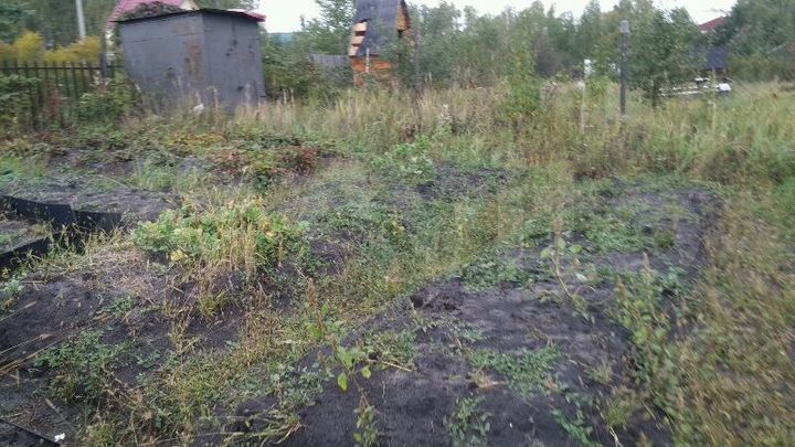 Участок 12 сот. (СНТ, ДНП)