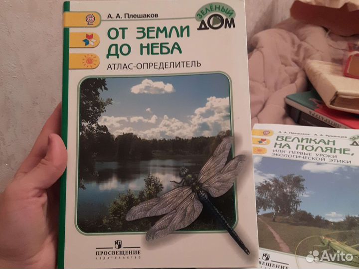 От неба до земли Плешаков