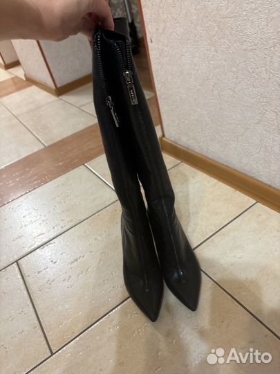 Carlo pazolini сапоги