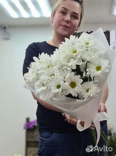 Ромашки хризантема букет цветов