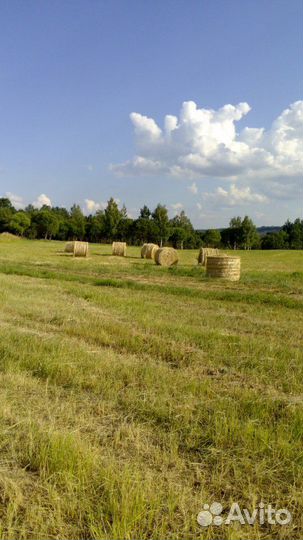 Сено в рулонах