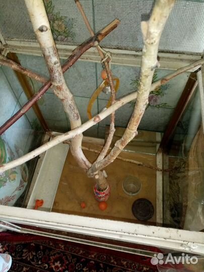 Большая клетка для птиц