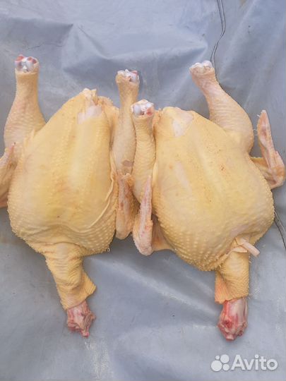 Мясо птицы бройлер