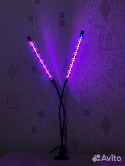 Фитолампа для растений полный спектр