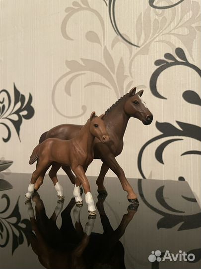 Лошади шляйх