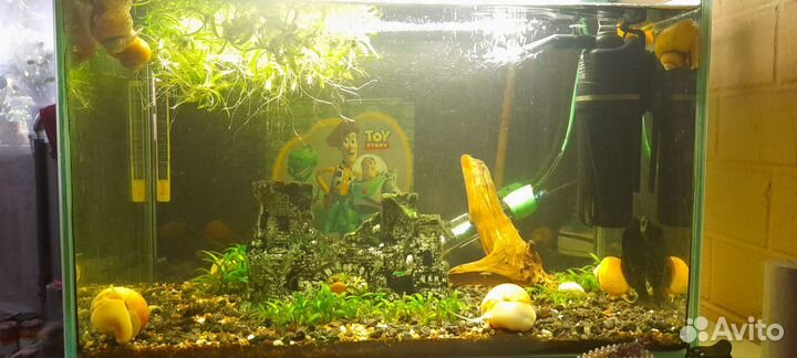 Аквариум