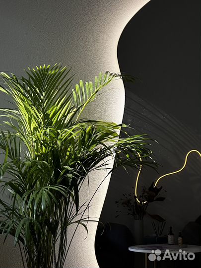 Аренда стола и кушетки